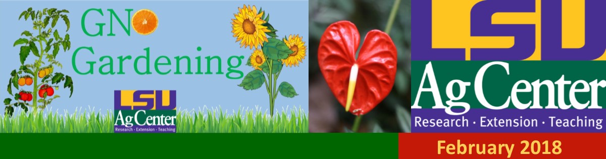 GNO Gardening February 2018 Newsletter